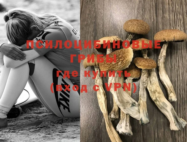 мескалин Алексеевка